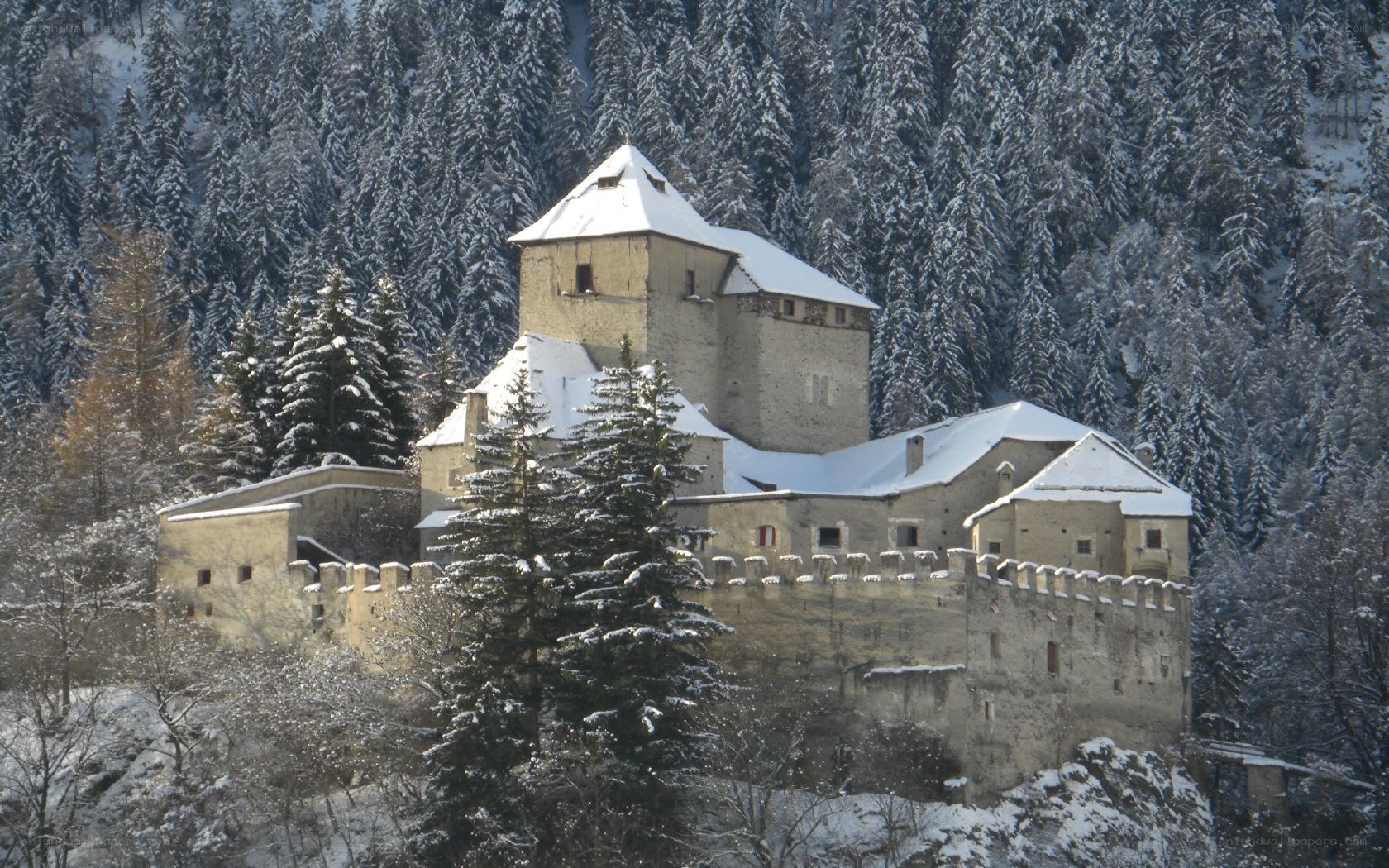 Snow-covered castle in forest