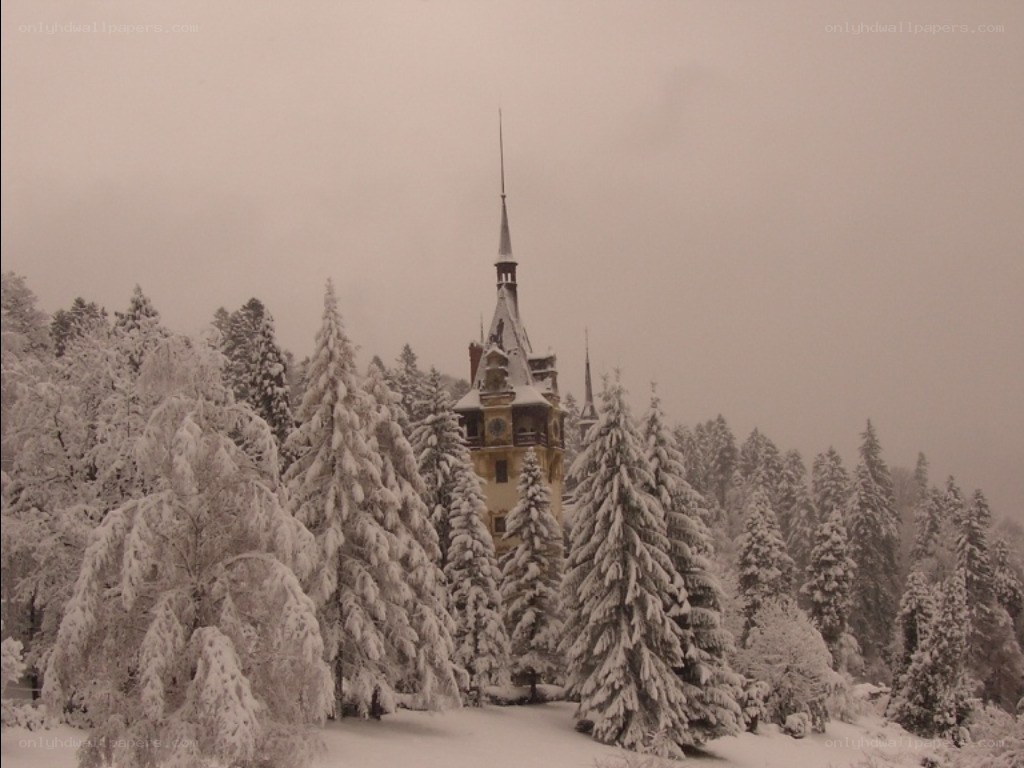 snow-covered castle in forest