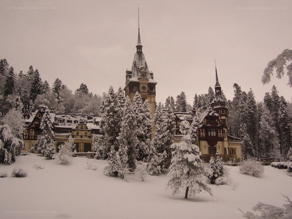 snow-covered castle in winter