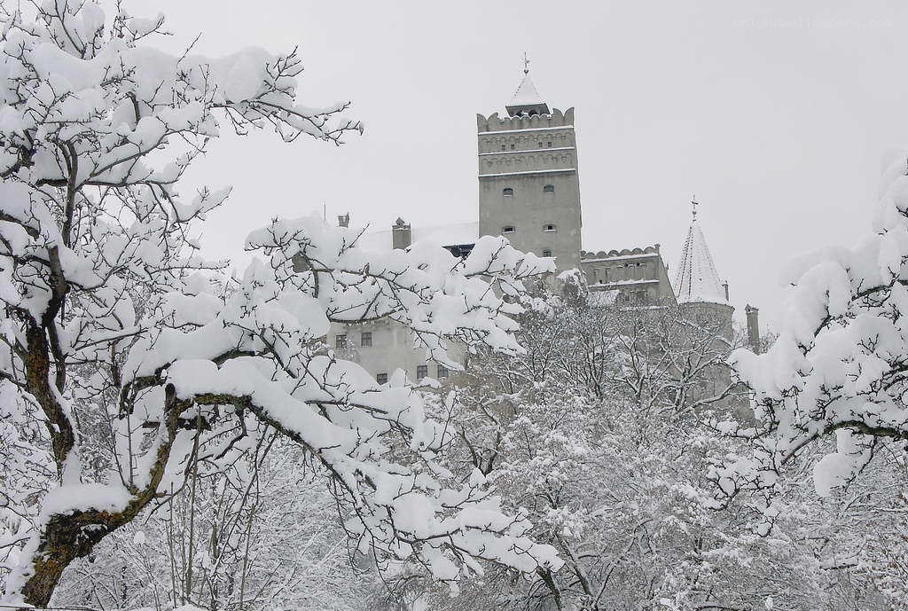 snow-covered castle in winter