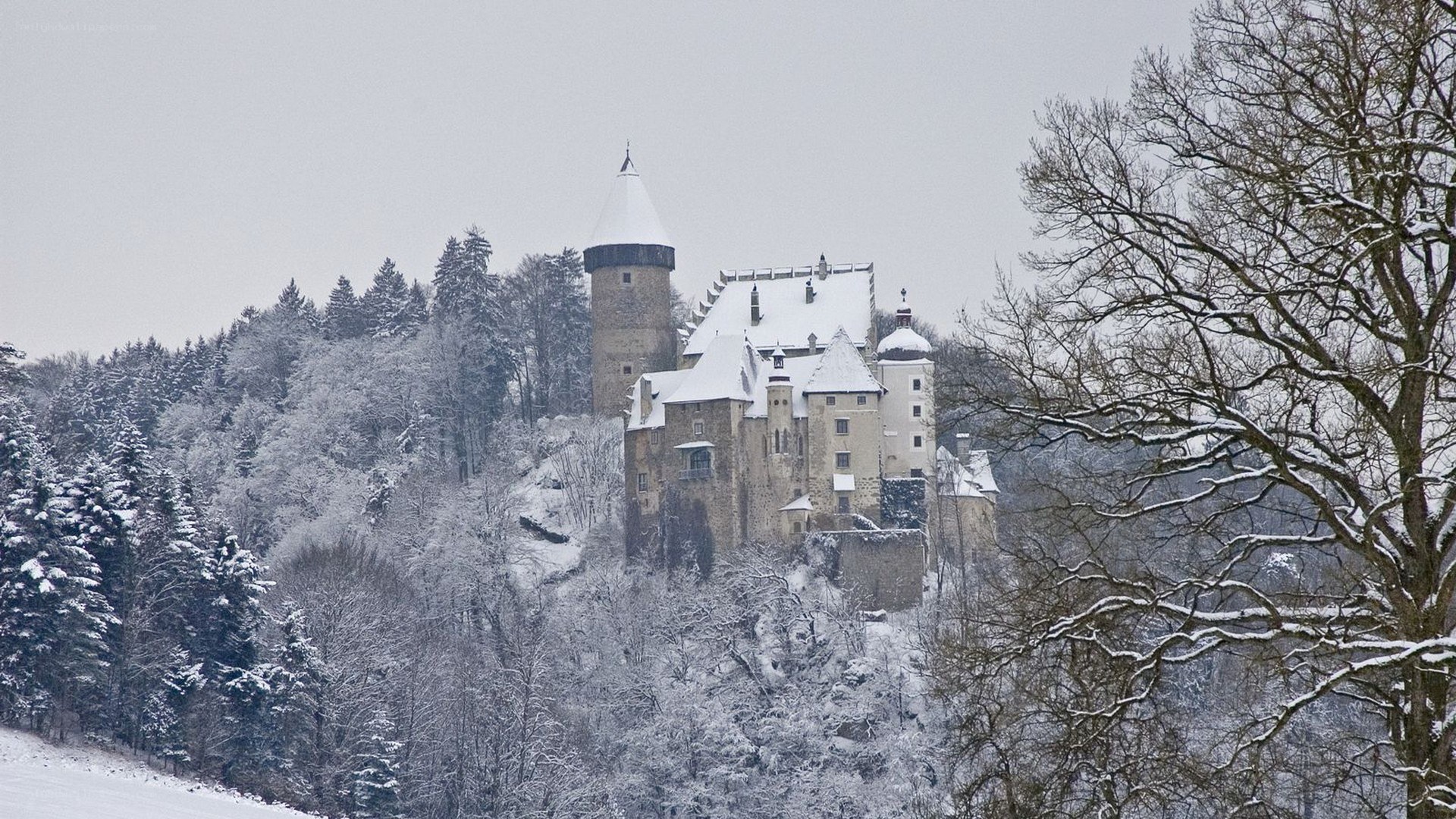 Snow-covered castle on a hill