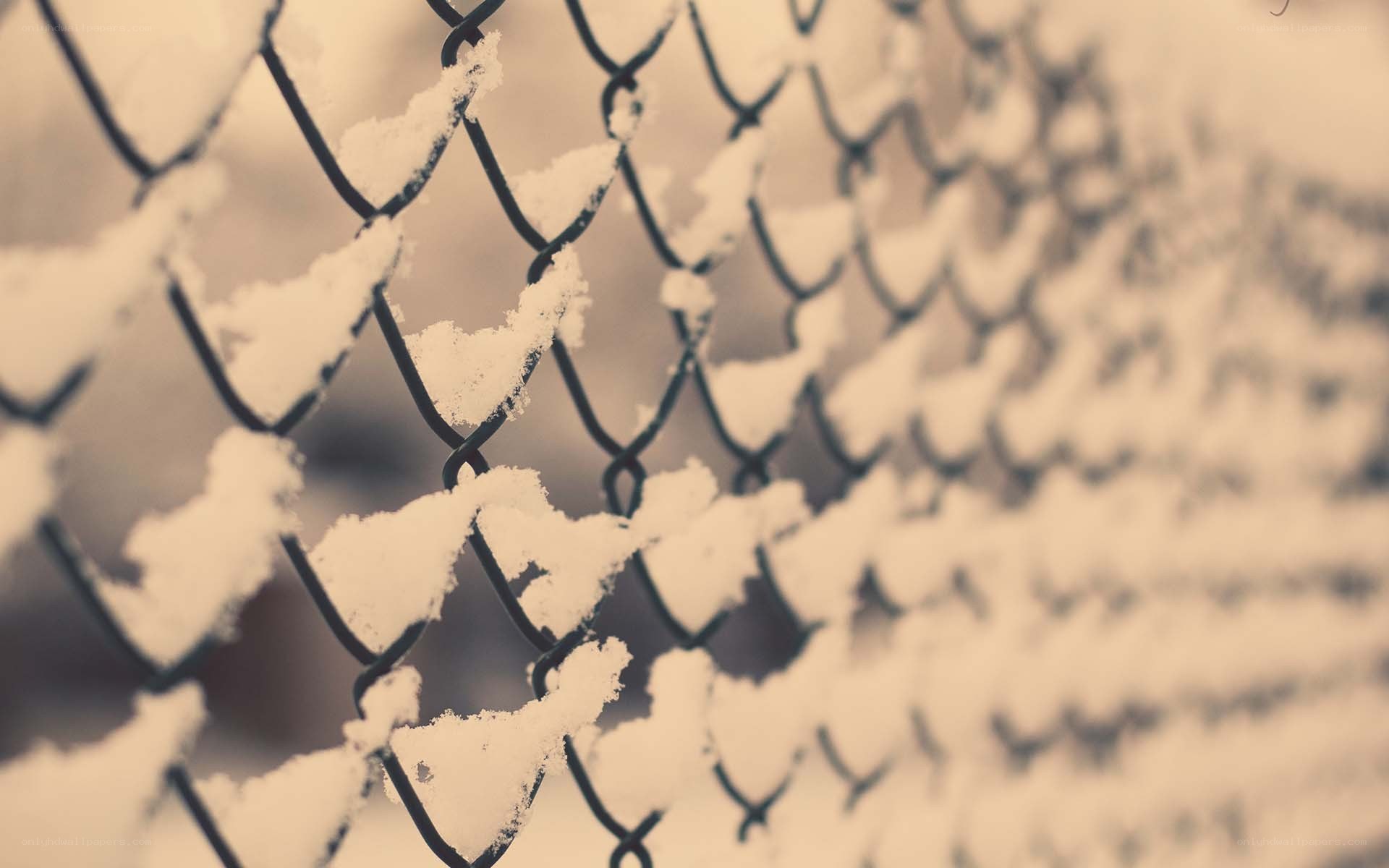 snow-covered chain-link fence
