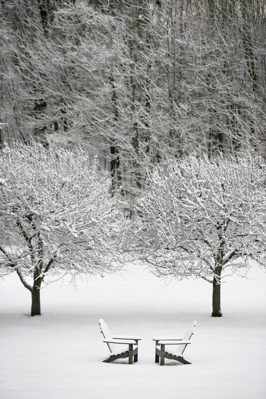 Snow-covered chairs in winter