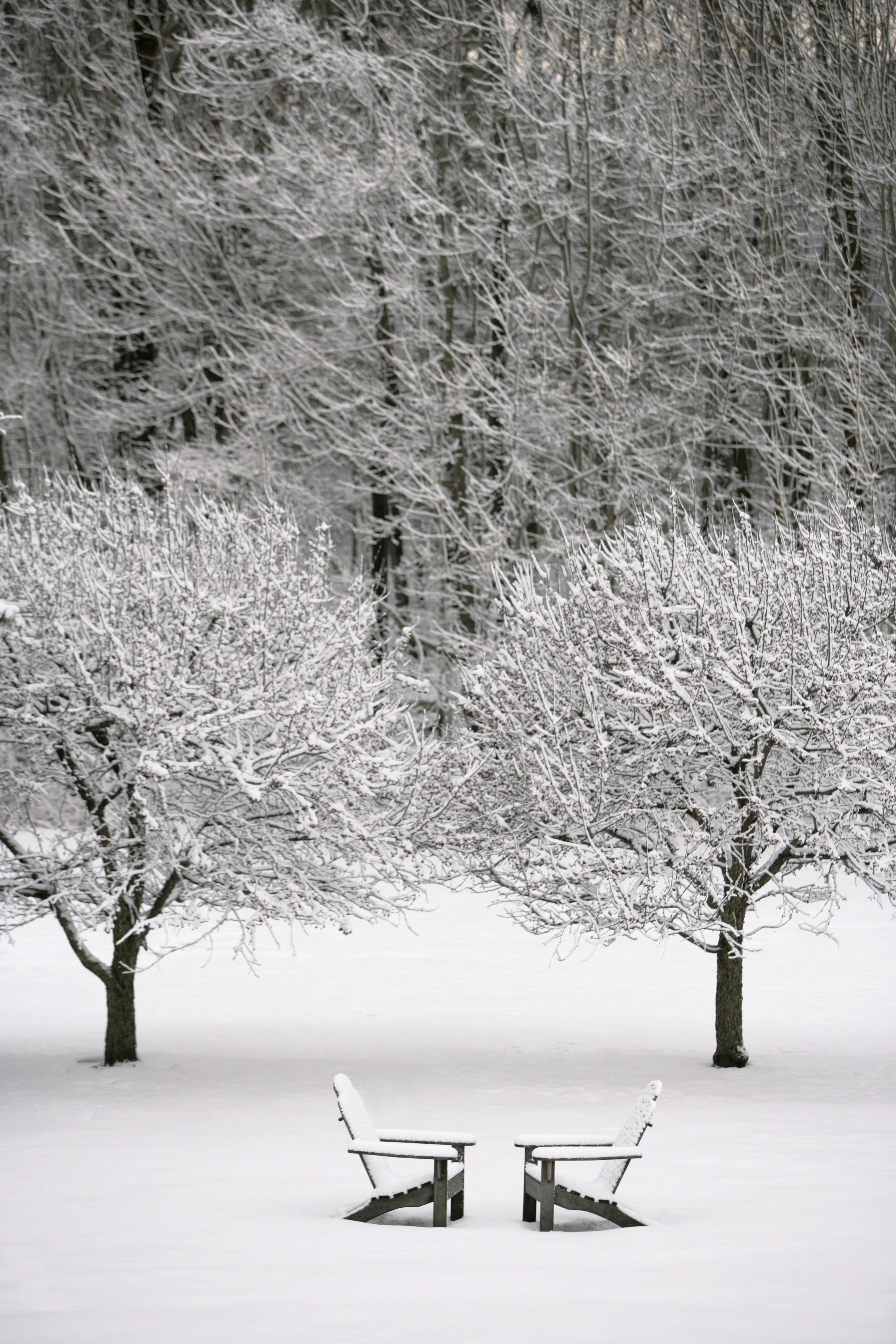 Snow-covered chairs in winter