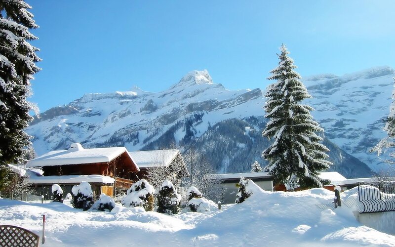 Snow-covered Chalet — White, Serene, Winter, Photograph, Mountains, Trees