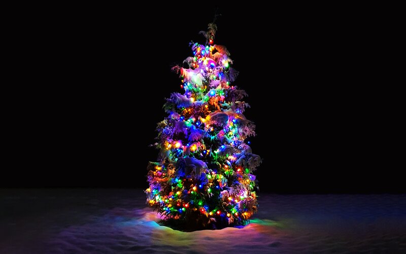 Snow-covered Christmas Tree — Black, Festive