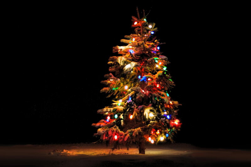 Snow-covered Christmas Tree — Black, Serene