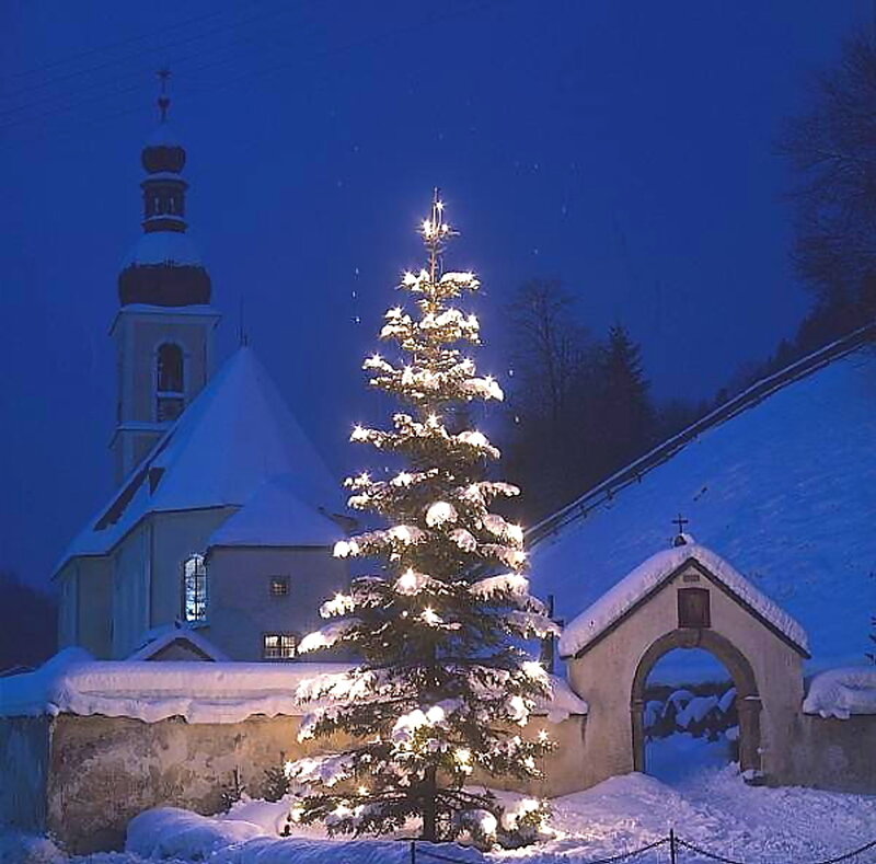 Snow-covered Christmas Tree — Blue, Serene, Night, Photograph, Church