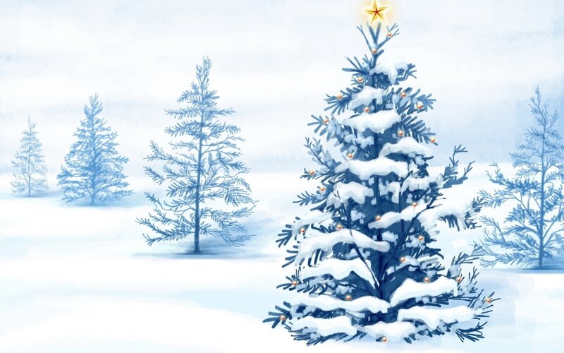 Snow-covered Christmas Tree — Blue, Serene
