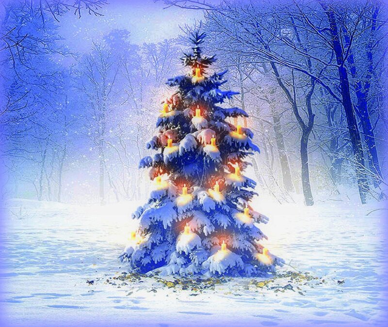 Snow-covered Christmas Tree — Blue, Serene, Winter, Digital Art