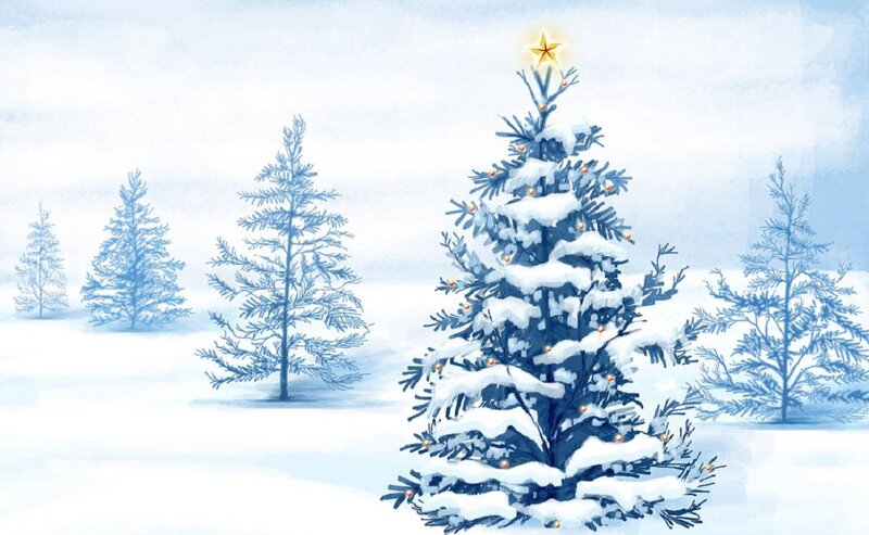 Snow-covered Christmas Tree — Blue, Serene, Winter, Illustration