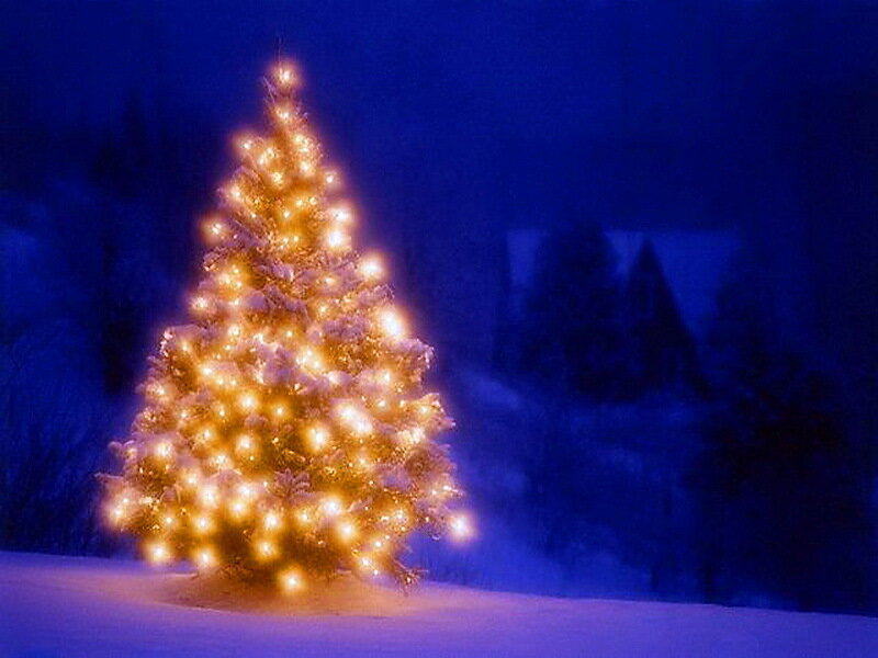Snow-covered Christmas Tree — Blue