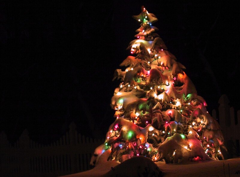 Snow-covered Christmas Tree — Green, Festive, Night, Photograph
