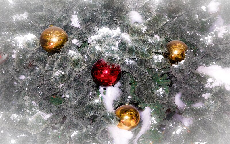 Snow-covered Christmas Tree — Green, Festive, Winter