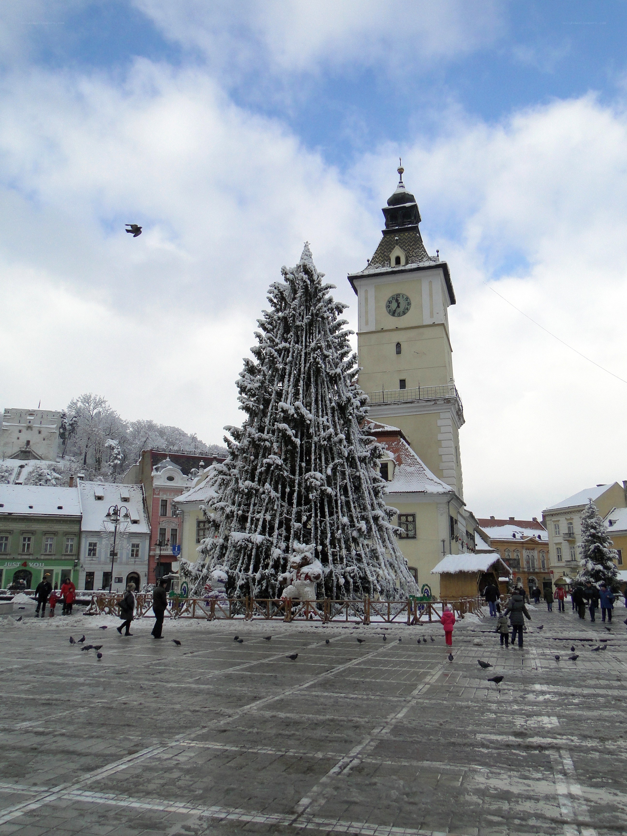 Snow-covered Christmas tree in town square