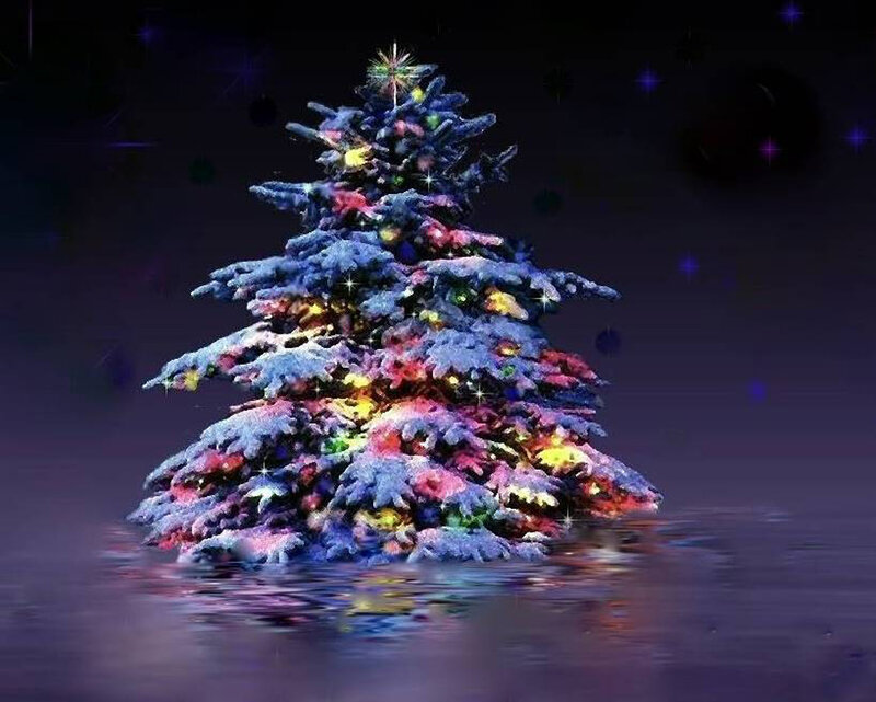 Snow-covered Christmas Tree — Purple, Festive, Night