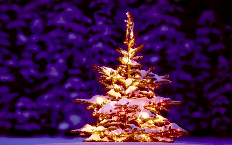 Snow-covered Christmas Tree — Purple, Festive