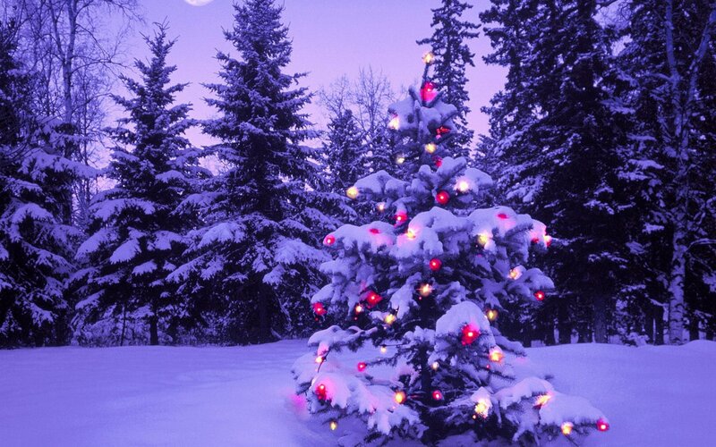 Snow-covered Christmas Tree — Purple, Serene