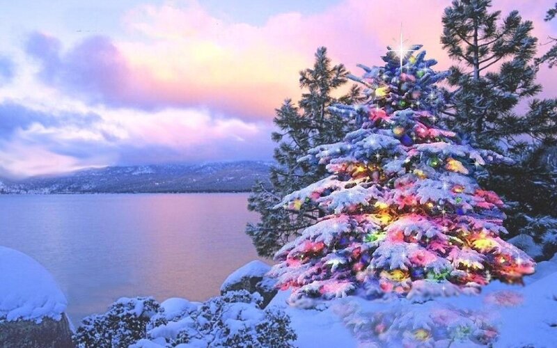 Snow-covered Christmas Tree — Purple, Serene, Winter