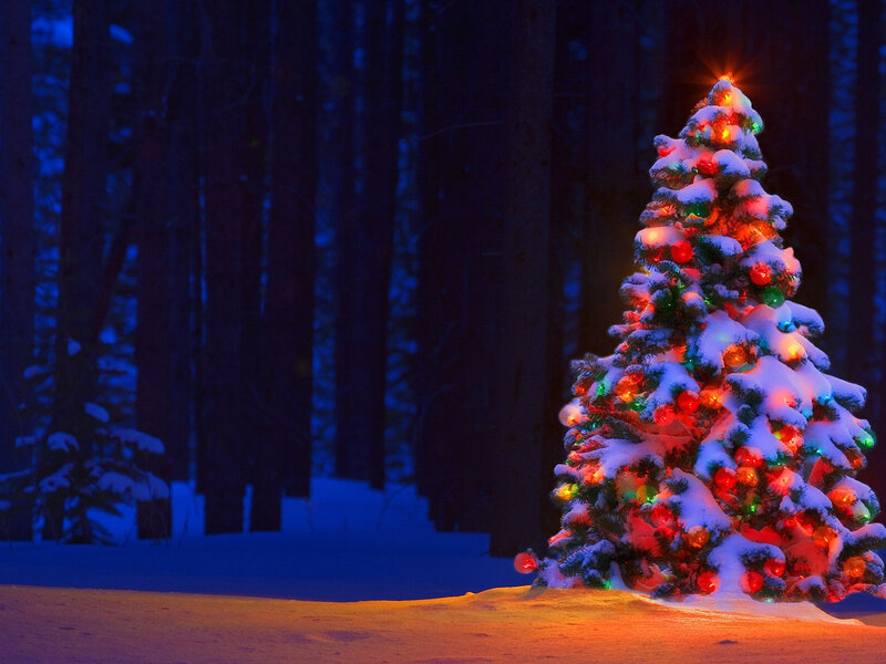 Snow-covered Christmas Tree — Red
