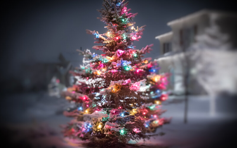 Snow-covered Christmas Tree — White, Festive, Night, Photograph, Lights