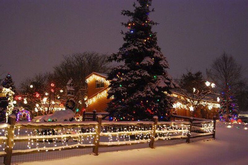 Snow-covered Christmas Tree — White, Festive, Night, Photograph