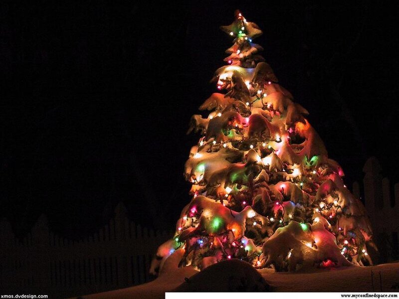 Snow-covered Christmas Tree — White, Festive, Night