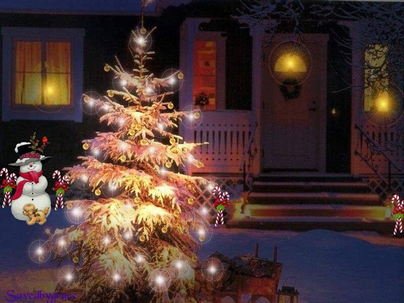 Snow-covered Christmas Tree — White, Festive