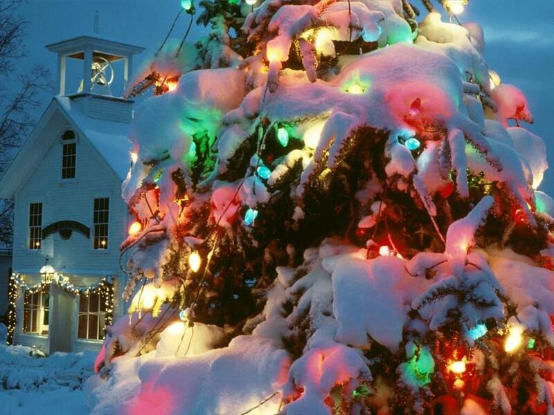 Snow-covered Christmas Tree — White, Festive, Winter, Photograph, Building