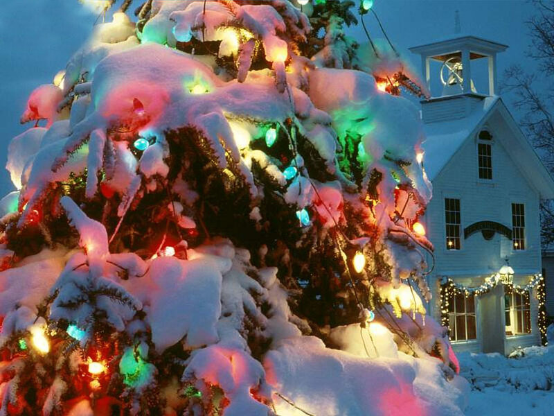 Snow-covered Christmas Tree — White, Festive, Winter, Photograph