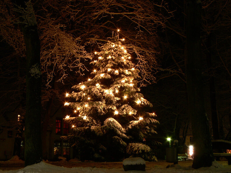 Snow-covered Christmas Tree — White, Peaceful