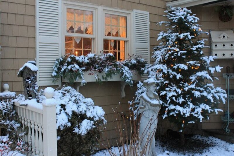 Snow-covered Christmas Tree — White, Peaceful, Winter