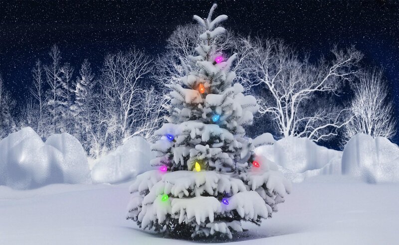 Snow-covered Christmas Tree — White, Serene, Night, Digital Art, Lights