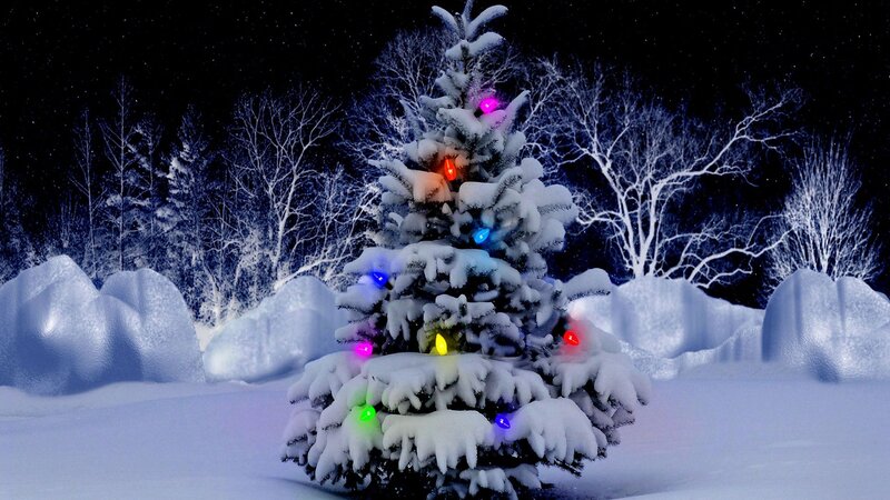 Snow-covered Christmas Tree — White, Serene, Night, Digital Art