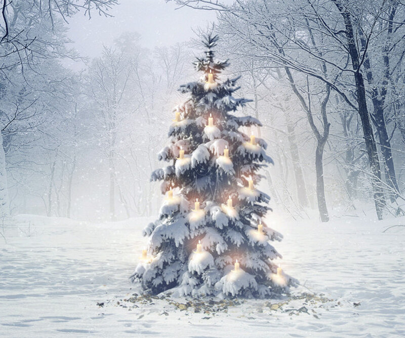 Snow-covered Christmas Tree — White, Serene, Winter, Digital Art