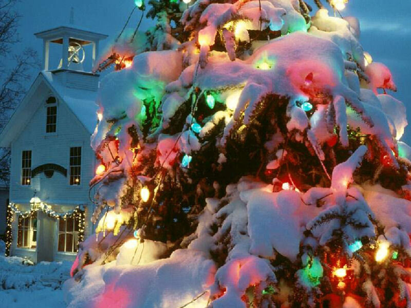 Snow-covered Christmas Tree — White
