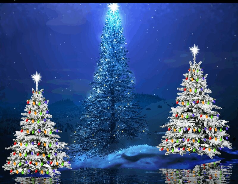 Snow-covered Christmas Trees — Blue
