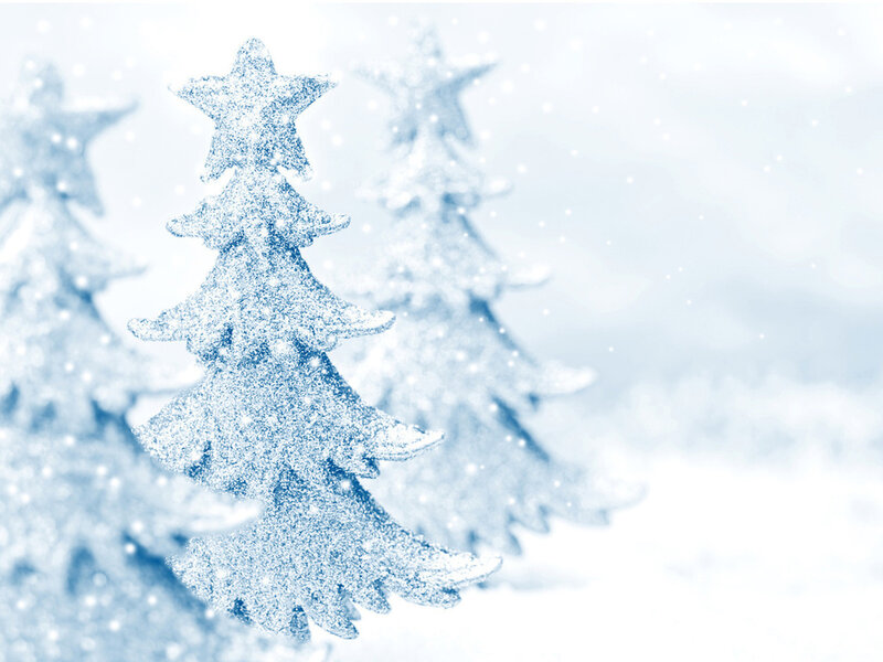 Snow-covered Christmas Trees