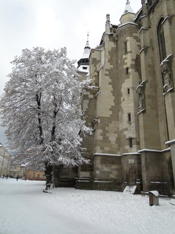 Snow-covered church in winter