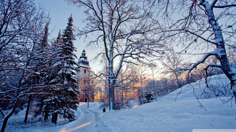 Snow-covered Church — White, Serene, Winter, Photograph, Trees, Path
