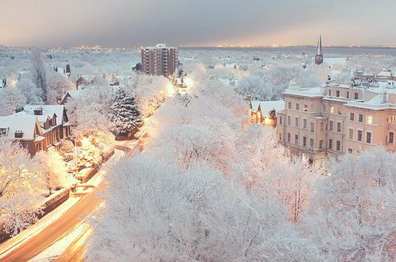 Snow-covered Cityscape — White, Serene, Winter