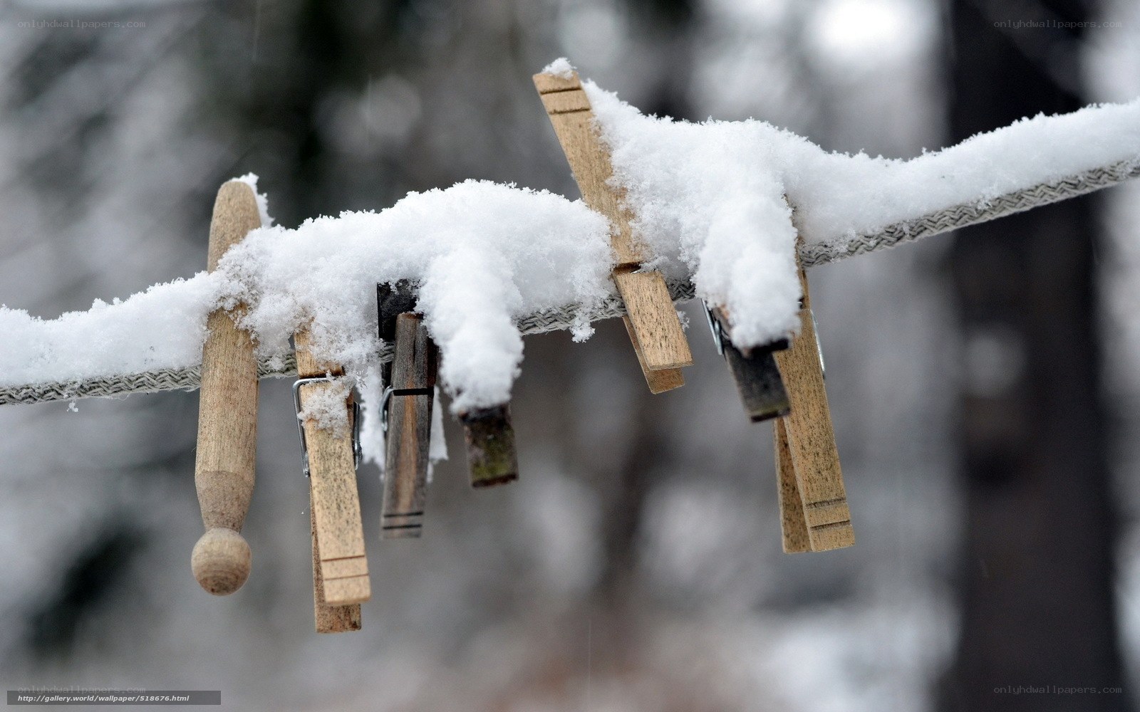 Snow-covered clothespins on a line