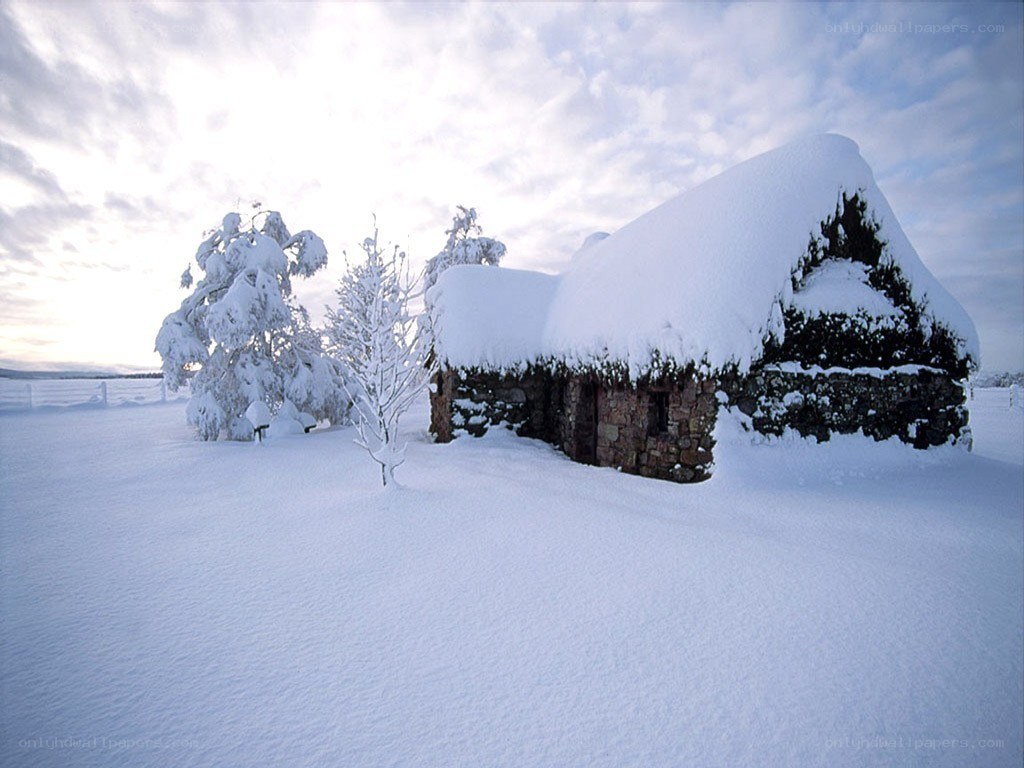 Snow-covered cottage in winter