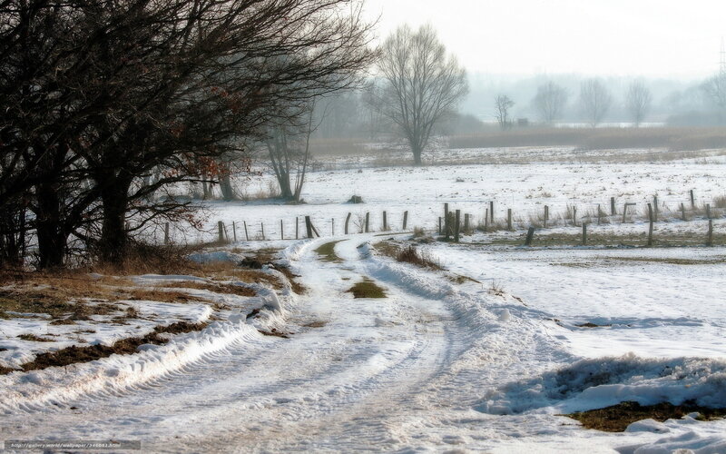 Snow-covered Country Path — White