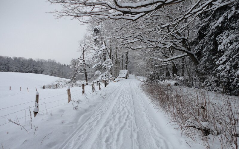 Snow-covered Country Road — White, Serene