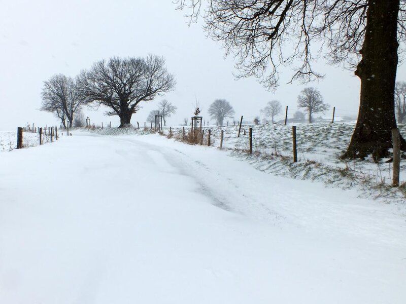 Snow-covered Country Road — White