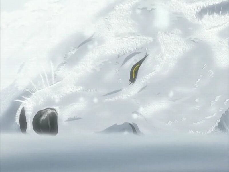 snow-covered creature face