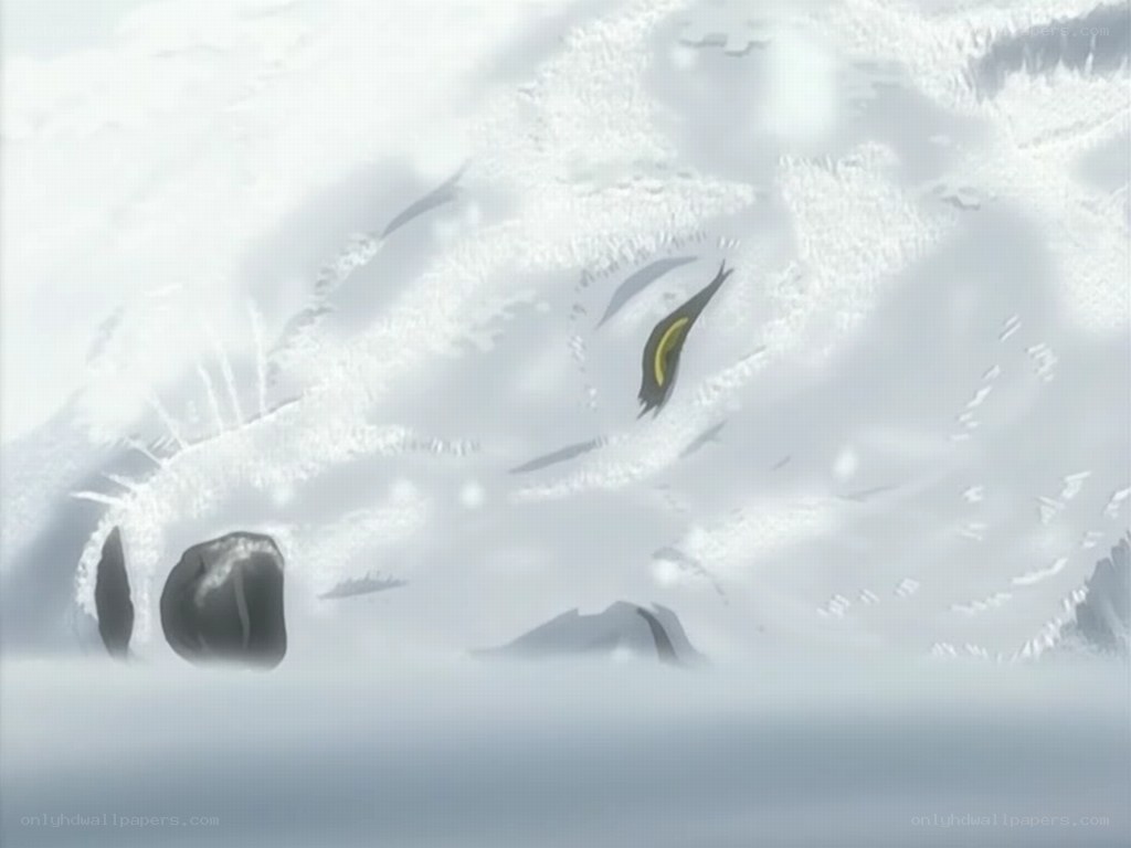 snow-covered creature face