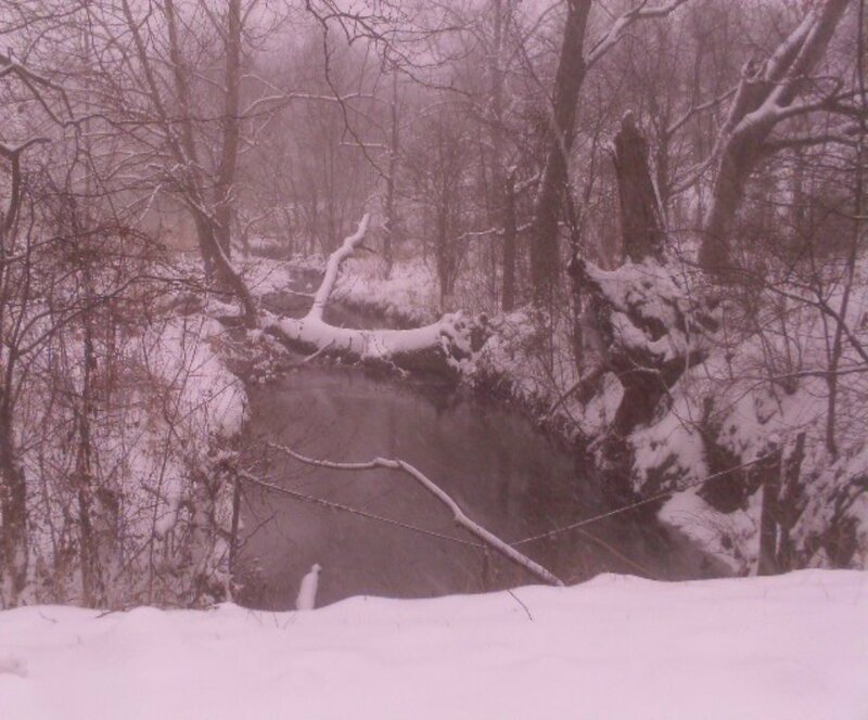Snow-covered Creek