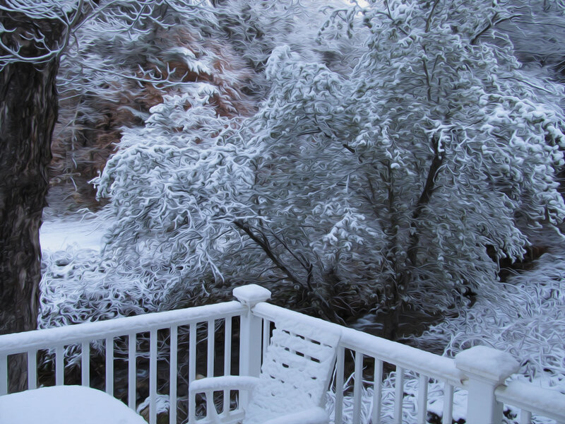 Snow-covered Deck and Trees